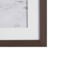 15818 - We See You Dogs by Jim Dratfield Framed Photo Print under Glass
