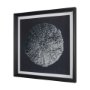 15829 - Urchin Still Life II by Nathan Larson a Hand Embellished Framed Photo Art Print Matted under Glass