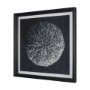 15831 - Urchin Still Life IV by Nathan Larson a Hand Embellished Framed Photo Art Print Matted under Glass
