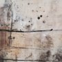 101091-FL - Blk Wht Bronze I by Jennifer Goldberger a Hand Embellished Textured Framed Canvas