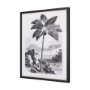 102681-FS - Vintage Palm Tree Drawing I by Les Palmiers Histoire Embellished Textured Framed Canvas