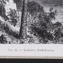 102681-FS - Vintage Palm Tree Drawing I by Les Palmiers Histoire Embellished Textured Framed Canvas