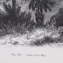 102682-FS - Vintage Palm Tree Drawing V by Les Palmiers Histoire a Hand Embellished Textured Framed Canvas