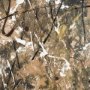 102690-FL - Chaos & Order I by Chad Warren a Hand Embellished Textured Framed Canvas
