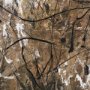 102692-FL - Chaos & Order III by Chad Warren a Hand Embellished Textured Framed Canvas