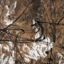 102692-FL - Chaos & Order III by Chad Warren a Hand Embellished Textured Framed Canvas