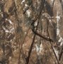 102694-FL - Chaos & Order V by Chad Warren a Hand Embellished Textured Framed Canvas