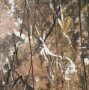 102694-FL - Chaos & Order V by Chad Warren a Hand Embellished Textured Framed Canvas