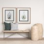 10292 - Air Plant 1 by Harvey, Brenna a Framed Art Print Matted under Glass