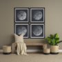 15828 - Urchin Still Life I by Nathan Larson a Hand Embellished Framed Photo Art Print Matted under Glass