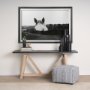 12492 - Flirt by Aledanda a Framed Photo Art Print Matted under Glass