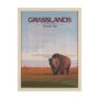 15836 - Grasslands GO (L) by Mercana Studio a Hand Embellished Decograph Framed Art Print