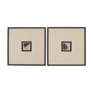 Autonomous (Set of 2) by Ira Havuka a Hand Embellished Framed Art Print Matted under Glass