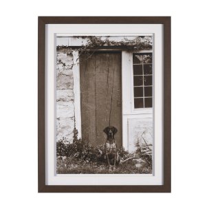 I am Home by Jim Dratfield a Framed Photo Print Matted Under Glass