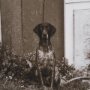 15858 - I am Home by Jim Dratfield a Framed Photo Print Matted Under Glass