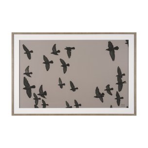Flock I by Nathan Larson a Hand Embellished Framed Photo Print under Glass