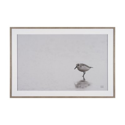 15861 - Tybee Island Sanderling by Nathan Larson a Hand Embellished Framed Photo Print under Glass