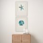 15030 - Sea Star by Studio M a handmade Original Framed Artwork under Glass