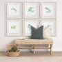 11346 - Thyme v2 by Chris Paschke a Framed Art Print Matted under Glass
