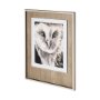 12654 - Charcoal Owl II by Jennifer Paxton Parker a Framed Art Print Matted under Glass