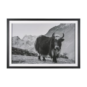 Mountain Majesty - Stance by Matt Roseveare Framed Art Print Matted under Glass