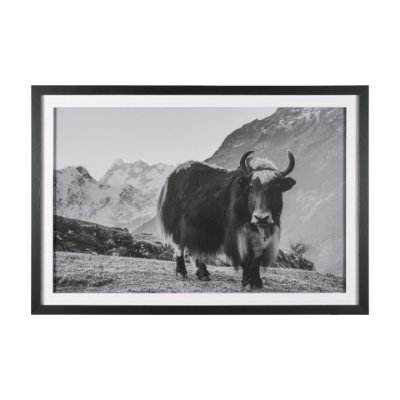 15929 - Mountain Majesty - Stance by Matt Roseveare Framed Art Print Matted under Glass