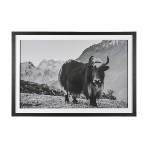 15929 - Mountain Majesty - Stance by Matt Roseveare Framed Art Print Matted under Glass