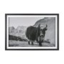 15929 - Mountain Majesty - Stance by Matt Roseveare Framed Art Print Matted under Glass