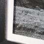 15929 - Mountain Majesty - Stance by Matt Roseveare Framed Art Print Matted under Glass