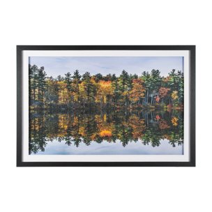 Fall Reflections by Dimitry Papkov Framed Art Print Matted under Glass