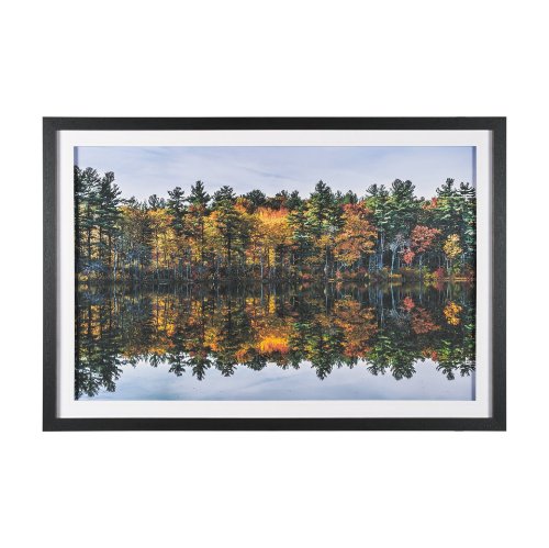 15931 - Fall Reflections by Dimitry Papkov Framed Art Print Matted under Glass