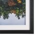 15931 - Fall Reflections by Dimitry Papkov Framed Art Print Matted under Glass