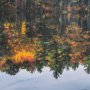 15931 - Fall Reflections by Dimitry Papkov Framed Art Print Matted under Glass