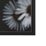 102701-FL - Tiny Flowers 3 by Mareike Bohmer Hand-Embellished Textured Framed Canvas Art Print