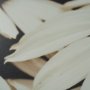102702-FL - Quiet by Olivia Joy StClaire Hand-Embellished Textured Framed Canvas Art Print