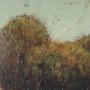 15920 - Hidden Grove I by Mercana Studio Hand Embelished Textured Framed Artwork Matted under Glass