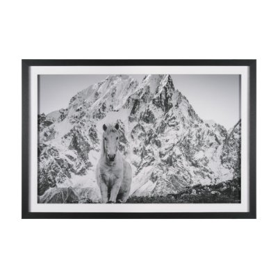 15930 - Majestic Mane - Snowscape by Matt Roseveare Framed Art Print Matted under Glass