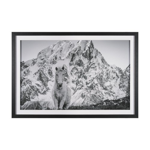 15930 - Majestic Mane - Snowscape by Matt Roseveare Framed Art Print Matted under Glass