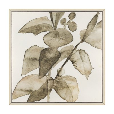 102721-FL - Cornus Alba I by Mercana Studio Hand-Embellished Textured Framed Canvas Artwork