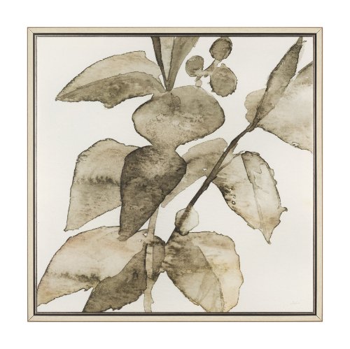 102721-FL - Cornus Alba I by Mercana Studio Hand-Embellished Textured Framed Canvas Artwork