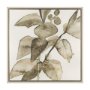 102721-FL - Cornus Alba I by Mercana Studio Hand-Embellished Textured Framed Canvas Artwork
