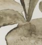 102722-FL - Cornus Alba II by Mercana Studio Hand-Embellished Textured Framed Canvas Artwork