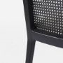 69350V - Clara Black Beech Wood W/ Cream Fabric Seat and Cane Back Armless Dining Chair