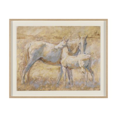 15944 - Curious II by Mercana Studio Hand Embelished Framed Artwork Matted under Glass