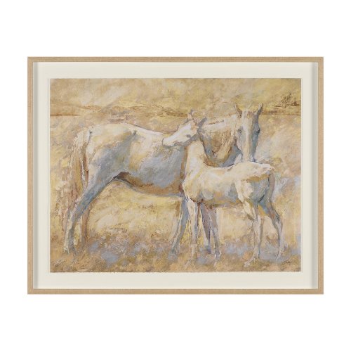 15944 - Curious II by Mercana Studio Hand Embelished Framed Artwork Matted under Glass