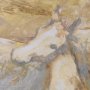 15944 - Curious II by Mercana Studio Hand Embelished Framed Artwork Matted under Glass