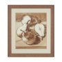 15955 - Pear Study II by Mercana Studio Hand Embelished Textured Framed Artwork Matted under Glass