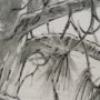 15959 - Ponderosa Whisper R by Mercana Studio Hand Embelished Framed Artwork Matted under Glass