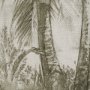 15971 - Tropical Coast (Set of 3) by Mercana Studio Hand Embelished Framed Artwork Matted under Glass