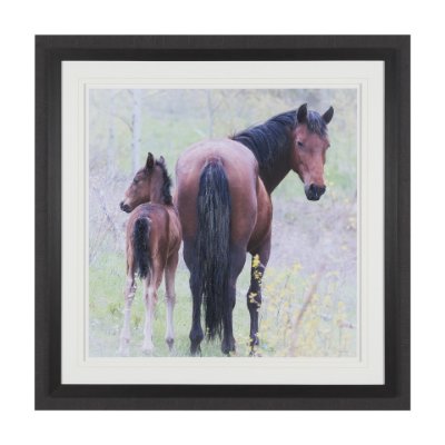 15975 - A Watchful Bond by Chad Mackay Hand Embelished Framed Art Print Matted under Glass